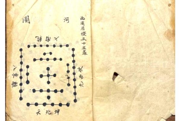 肾脏健康风水秘籍，家居布局助你活力满满