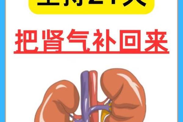 肾脏健康风水秘籍，家居布局助你活力满满