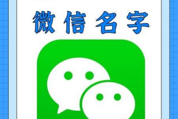 姓名霸权：如何打造独一无二的霸气名孿