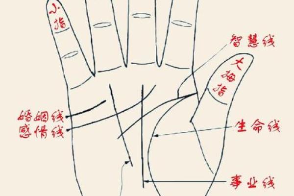 手掌上的木字密码