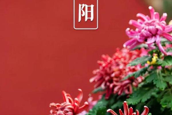 九月九日，探寻重阳节的古老传承与民间风情