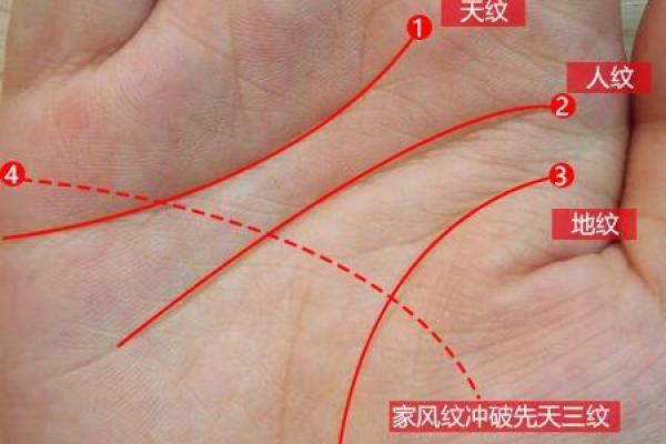 事业运亨通，手相暗示你的人生巅峰