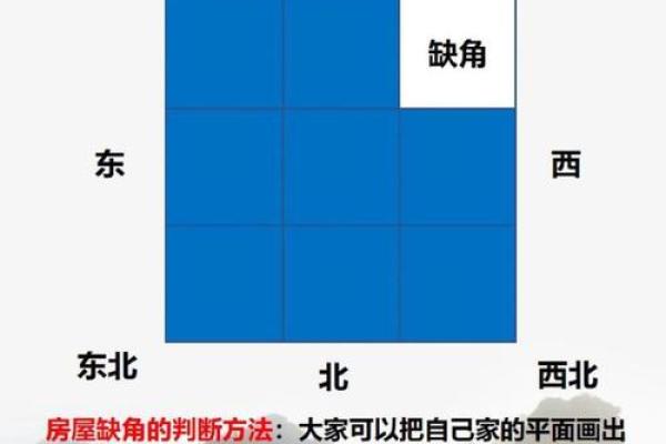 提升居家风水运势的终极指南 房屋风水学大全视频解析