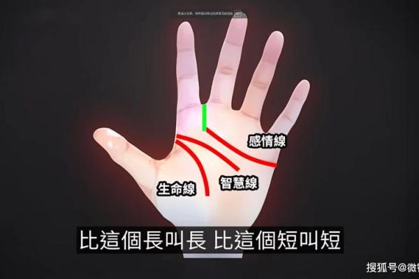 识手相，解锁你的享福密码