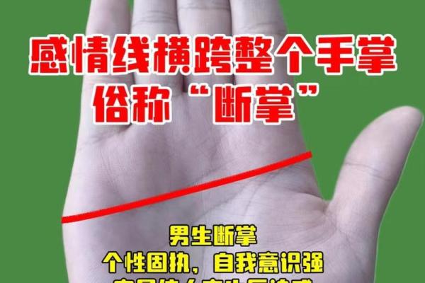 一手掌握财运，断手相图解秘籍大公开