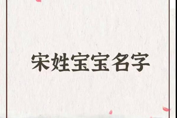 宋家新生儿取名指南