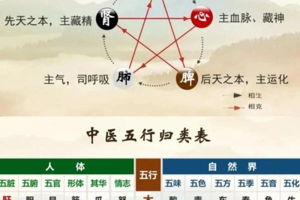 序字的五行归类分析