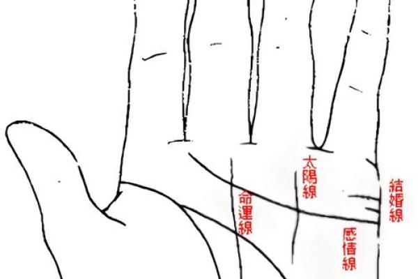 面相条纹揭秘：运势起伏，命运转折点！