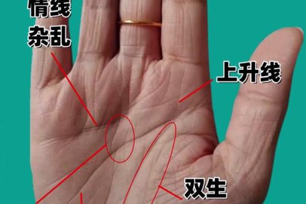 面相条纹揭秘：运势起伏，命运转折点！