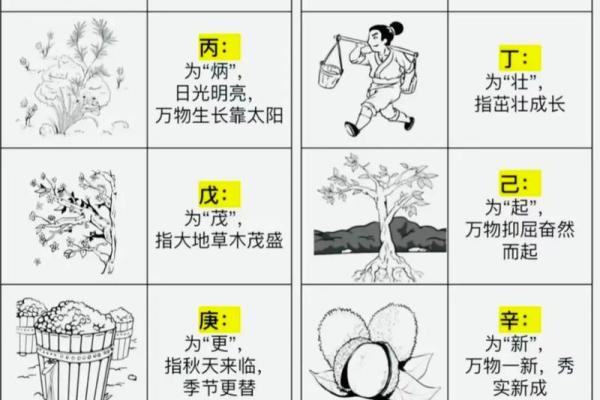 天干地支的详细对应关系解析