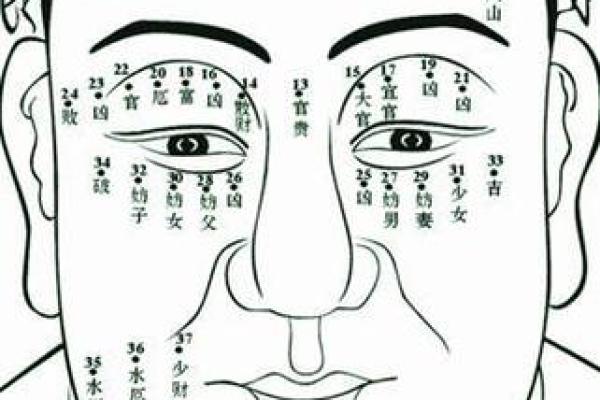 爆款痣相分析：脸上痣的位置决定你的命运？
