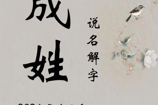 成字在公司起名中的寓意与应用解析