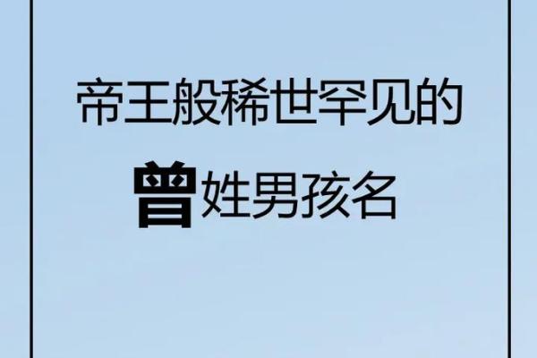 独具慧眼，男宝宝起名之道