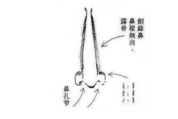 鼻子中间短面相的奥秘：揭示命运转折的神秘力量