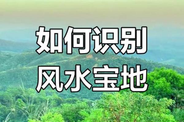 高层住宅风水揭秘：如何打造旺宅风水宝地？