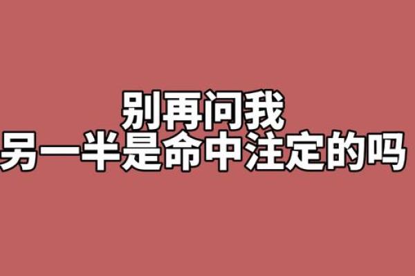 一生一次的命中姻缘，揭秘你的命中注定伴侣