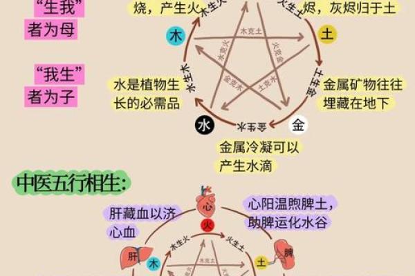 深入了解新五行的实际应用
