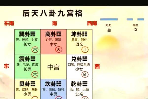 探讨东在五行中的角色与象征意义