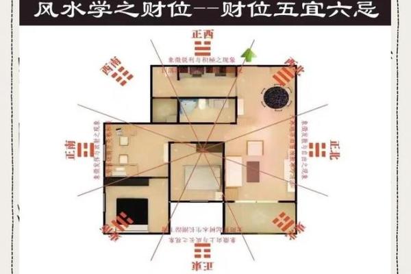 李居明揭秘：家居风水布局，让你的家财源滚滚！