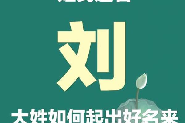 刘氏宝宝男宝取名佳选