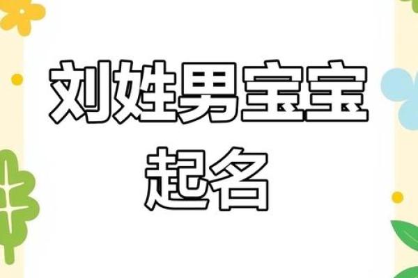 刘氏宝宝男宝取名佳选