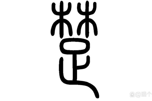 楚字五行与命运关系探讨