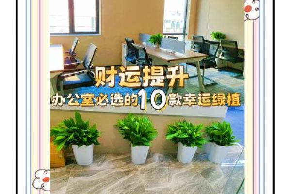 家居风水宝典：打造旺财旺运的办公空间