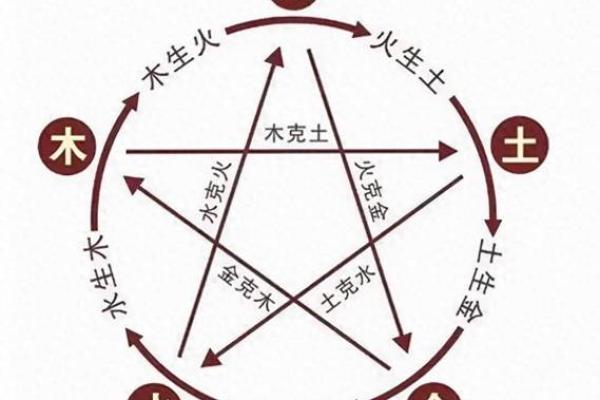探索地支在命理中的相互作用