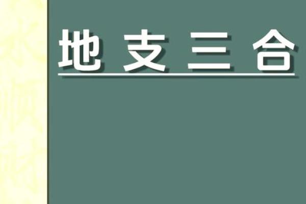 探索地支在命理中的相互作用