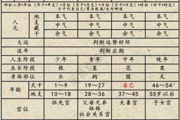 从八字中看人生起伏，盲派高级命理揭示成功秘诀