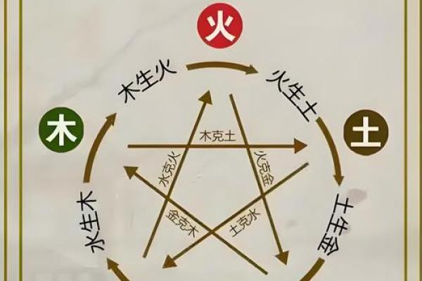 曹五行属性对命运的影响