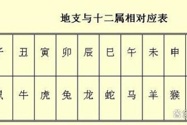 卯辰申：从天干地支看命运与性格