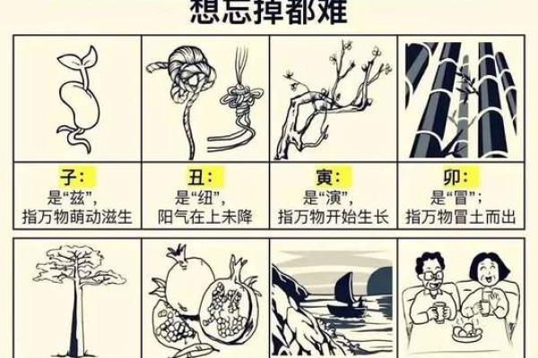 卯辰申：从天干地支看命运与性格