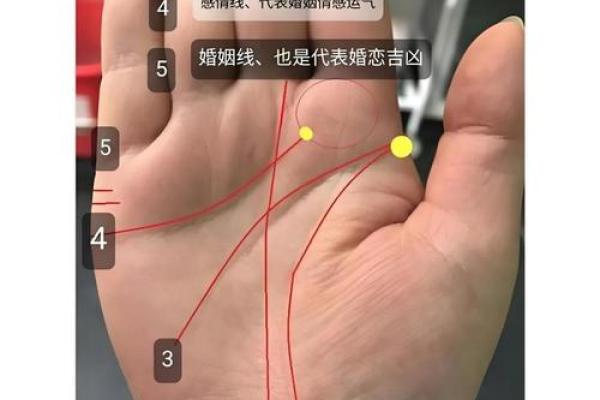 手相探秘：井指纹如何影响你的运势与人生