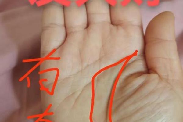 手相探秘：井指纹如何影响你的运势与人生