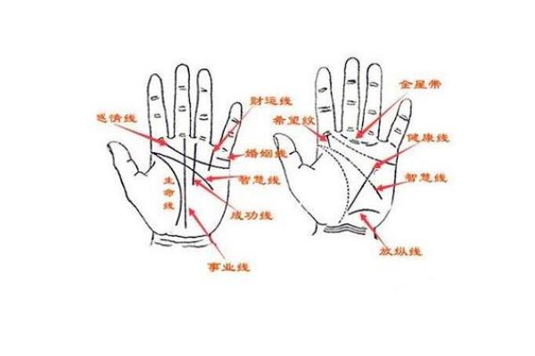 手相揭秘：儿女运势一览无余