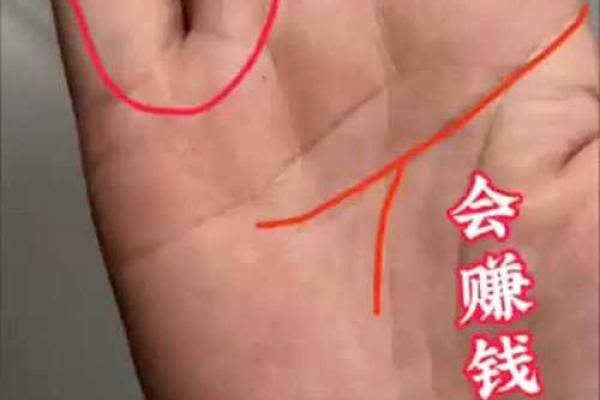 手相揭秘：儿女运势一览无余