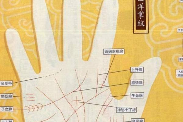手中藏乾坤，周易手相图解教你掌控人生