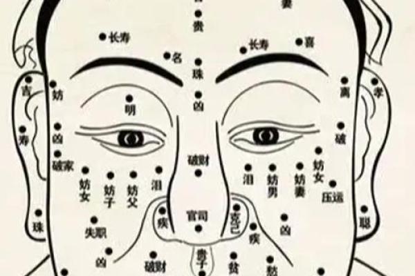 面部风水学：揭示面相与运势的神秘联系