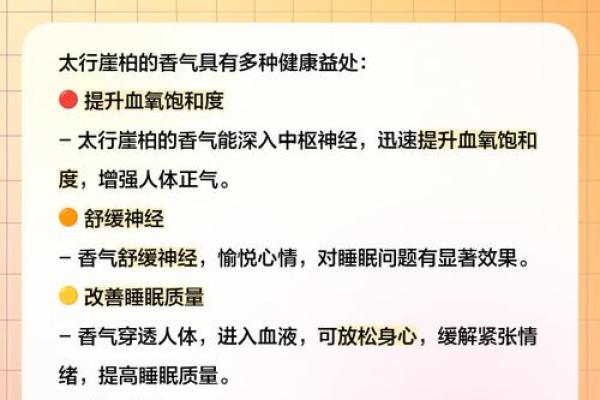 柏木元素在家居风水中的神奇作用，你了解多少？