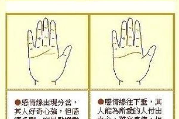 右手手相揭秘：女人右手手相算命全解析