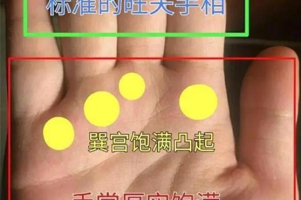 右手手相揭秘：女人右手手相算命全解析