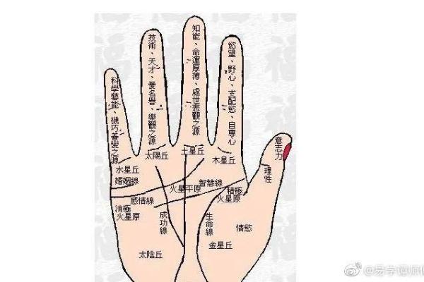 手相大师揭秘：大丘的运势与财运