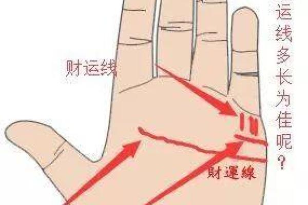 手相大师揭秘：大丘的运势与财运