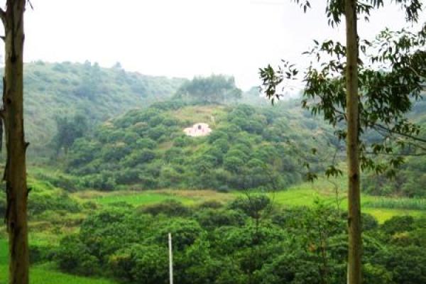 幼儿园风水揭秘：住宅西边风水佳选，宝宝健康成长胜地