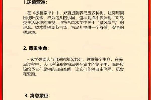 家居风水必备！养鸟竟然有这些神奇功效！