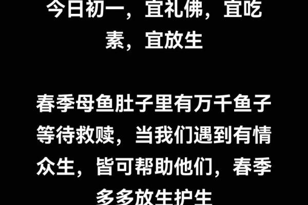 水族重生，放生节里的和谐祈愿