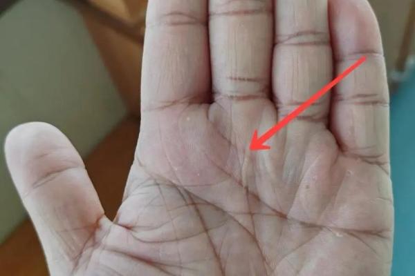 解锁神秘之手：手相揭秘你的性欲秘密！
