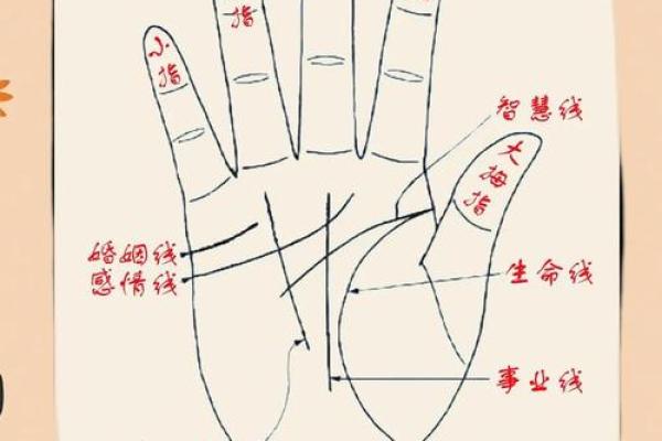 解锁神秘之手：手相揭秘你的性欲秘密！