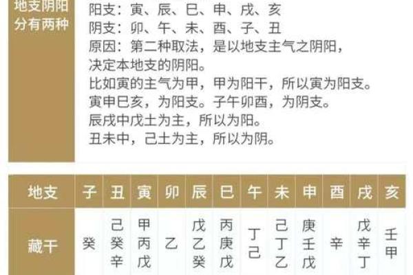 为何地支都是子水对命运有重要作用